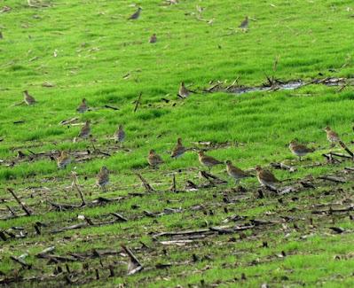 Fugas de tempero y refugio en Asturias