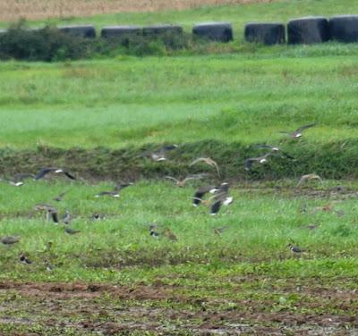 Fugas de tempero y refugio en Asturias