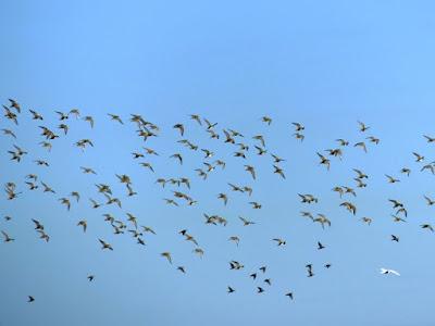 Fugas de tempero y refugio en Asturias