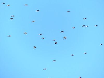Fugas de tempero y refugio en Asturias