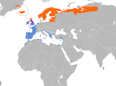 Fugas de tempero y refugio en Asturias