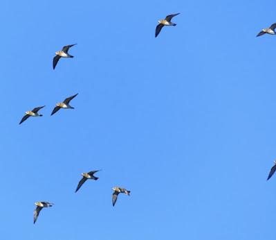 Fugas de tempero y refugio en Asturias