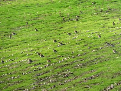 Fugas de tempero y refugio en Asturias