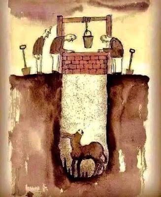 La enseñanza del burro.