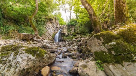 El Parque de los Buitres en Basilicata tiene una  riquísima biodiversidad, debido a la variedad del ecosistema.