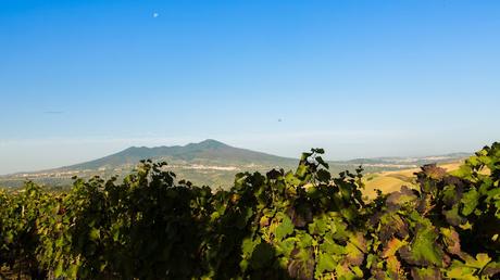 El Parque de los Buitres en Basilicata tiene una  riquísima biodiversidad, debido a la variedad del ecosistema.