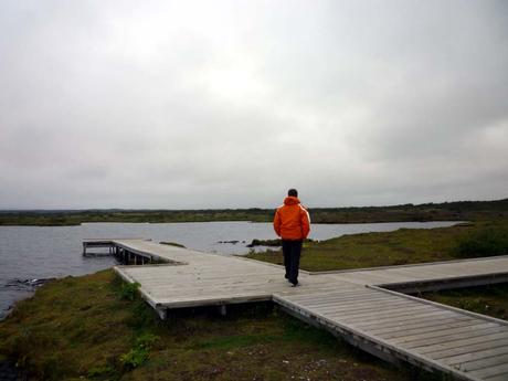 Lago Pingvallavatn | Islandia