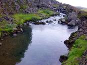 Drekkingarhylur piscina ahogamientos Thingvellir Islandia