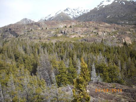 Un lugar para detenerse Un lugar para detenerse
