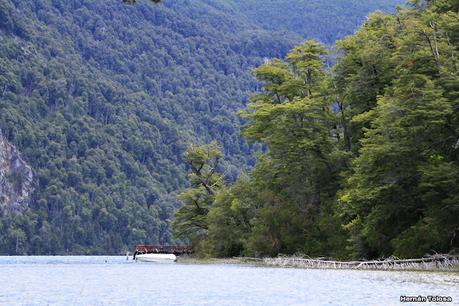 Parque Nacional Los Alerces (diciembre 2020)