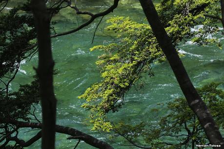 Parque Nacional Los Alerces (diciembre 2020)
