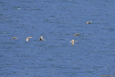 Parque Nacional Los Alerces (diciembre 2020)