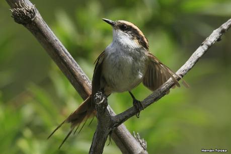 Parque Nacional Los Alerces (diciembre 2020)