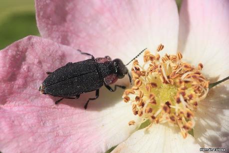 Parque Nacional Los Alerces (diciembre 2020)
