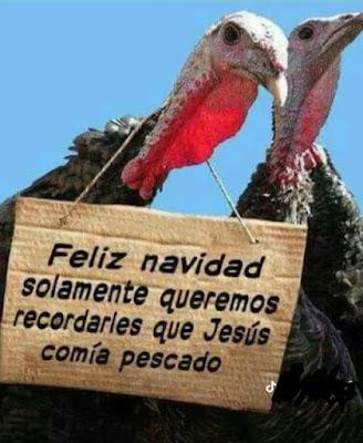 Crónica de una huelga de sanidad …y el golpe judicial del TC. Crónica de una huelga de sanidad …y el golpe judicial del TC.