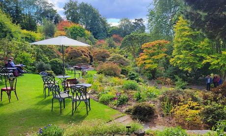 12 aclamadas actividades en Perth, Escocia Jardín de Branklyn