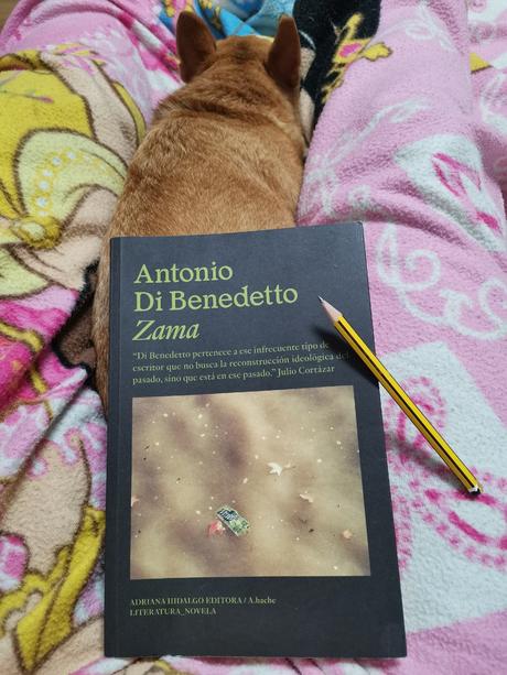 NO SE PUEDE RENUNCIAR A VIVIR MEDIO DÍA