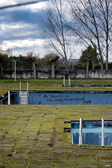 Elogio de la ternura