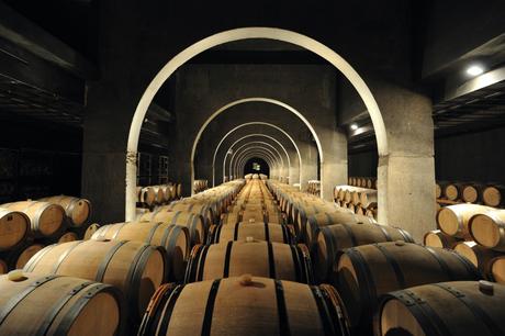 Geografías de Viña y Vida – Pago de los Capellanes