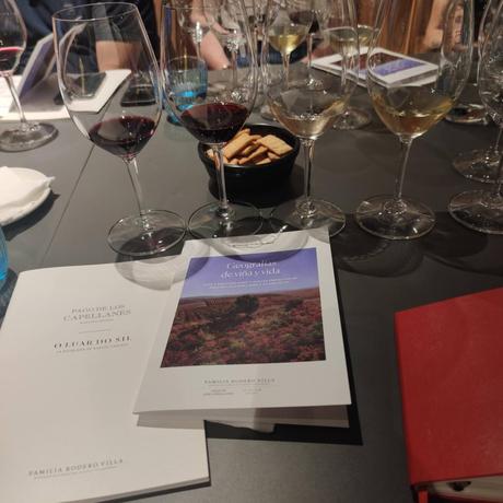 Geografías de Viña y Vida – Pago de los Capellanes