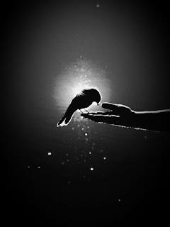 5.323 - YA NADA PIDO...