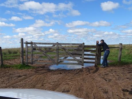 ARGENTINA: LOS ESTEROS DE IBERÁ ARGENTINA: LOS ESTEROS DE IBERÁ