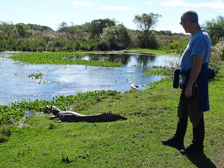 ARGENTINA: LOS ESTEROS DE IBERÁ ARGENTINA: LOS ESTEROS DE IBERÁ