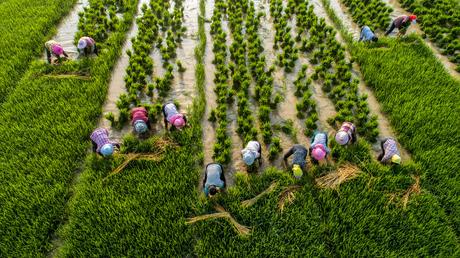 Hitos científicos del 2022 Hitos científicos del 2022