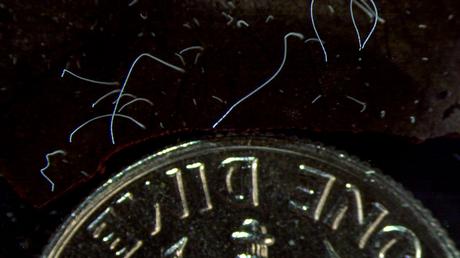 Hitos científicos del 2022 Hitos científicos del 2022