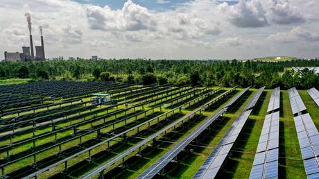 Hitos científicos del 2022 Hitos científicos del 2022