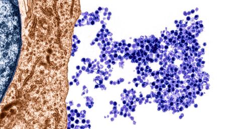 Hitos científicos del 2022 Hitos científicos del 2022