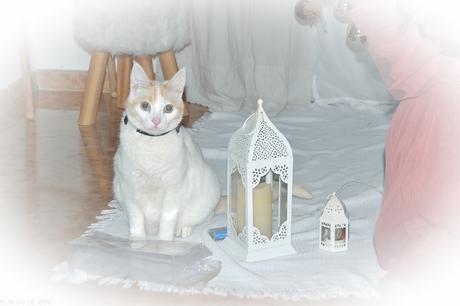 A DECORAR EL ARBOL´22