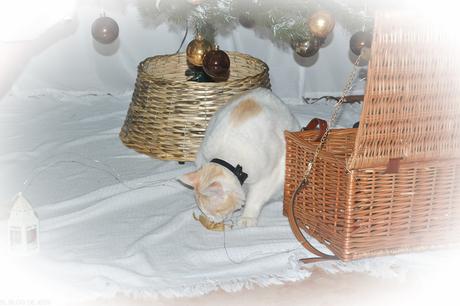 A DECORAR EL ARBOL´22