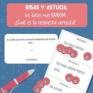 Juegos de mesa familiares: Bobo Bobo, Guata Family y Little Secret. ¡acertarás seguro! Juegos de mesa familiares: Bobo Bobo, Guata Family y Little Secret. ¡acertarás seguro!