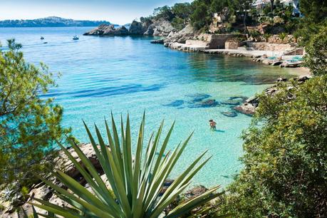 Calvià cierra el año de la recuperación del turismo con un fuerte impulso a la rentabilidad del sector