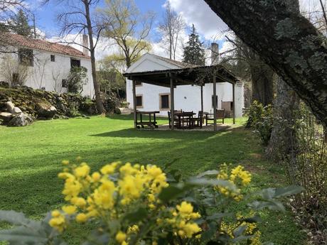 5 Casas Rurales de alquiler íntegro, con Chimenea.