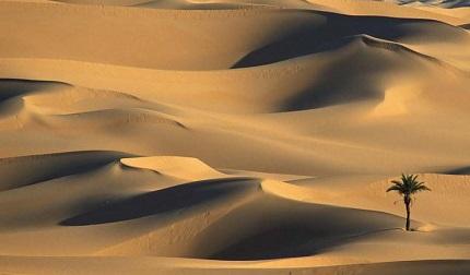 Una voz en el desierto: luchando contra algunos mitos sobre tecnología e innovación