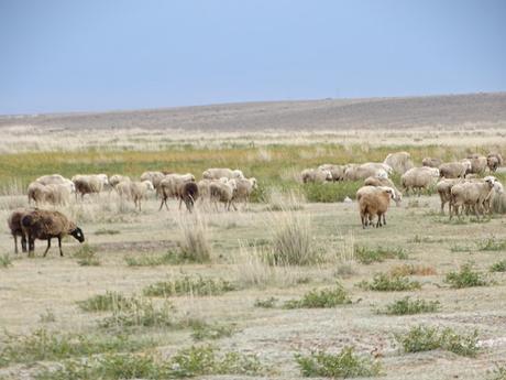 KAZAJISTÁN: EL PARQUE NACIONAL DEL CAÑÓN DE CHARYN