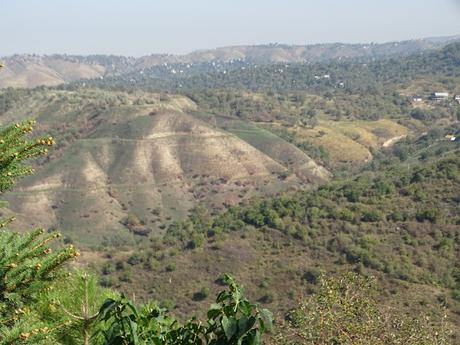 KAZAJISTÁN: ALMATY, LA CIUDAD DE LAS MANZANAS KAZAJISTÁN: ALMATY, LA CIUDAD DE LAS MANZANAS
