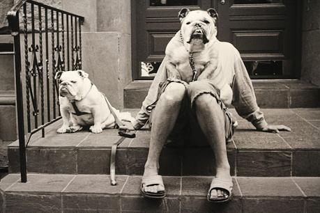 Cara de perro o de rana