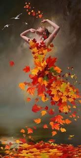 5.329 - HAY TELARAÑAS...