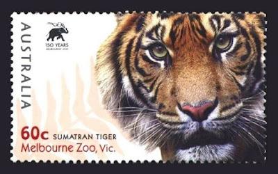 Los últimos tigres de Sumatra