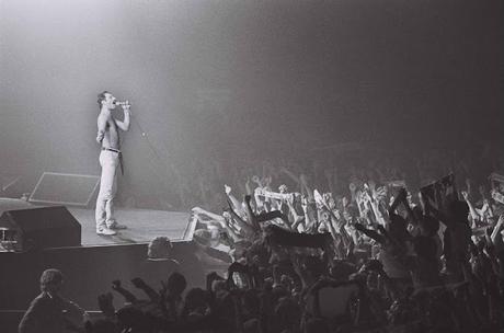 365/365 Freddie Mercury