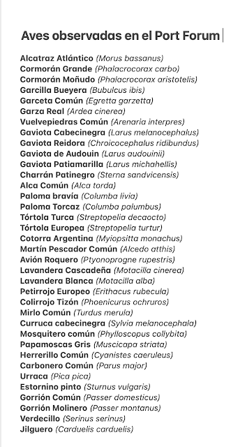 Aves del Port Forum