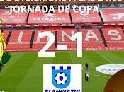 Nastic malaga