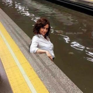 El rey Felipe VI, su último mensaje de Navidad, los cachorros de nuestra monarquía y el adiós al 2022. El rey Felipe VI, su último mensaje de Navidad, los cachorros de nuestra monarquía y el adiós al 2022.