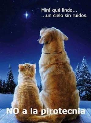 El rey Felipe VI, su último mensaje de Navidad, los cachorros de nuestra monarquía y el adiós al 2022. El rey Felipe VI, su último mensaje de Navidad, los cachorros de nuestra monarquía y el adiós al 2022.