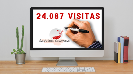 Resumen 2022:  24.087 visitas