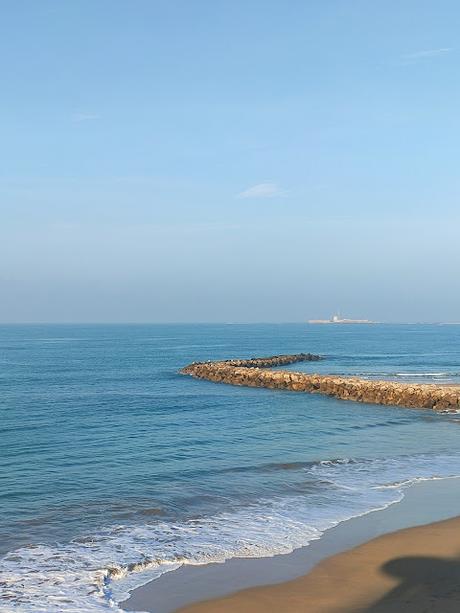 PROPÓSITOS 2023 Y CAMBIOS EN EL BLOG