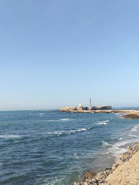 PROPÓSITOS 2023 Y CAMBIOS EN EL BLOG